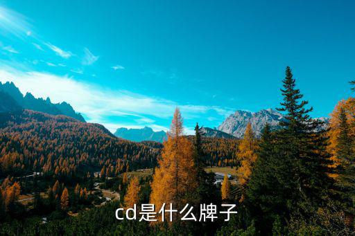 cd2399是什么牌子,梵蒂冈服装店推出第一个服装系列春夏