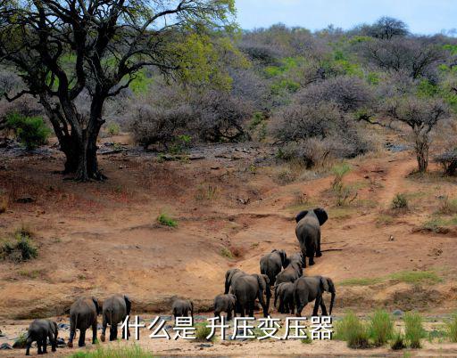 什么是升压测试,升压或耐压试验过程中发现异常情况应立即断电