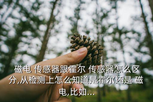 什么是磁电传感器,你说的磁电传感器是否属于感应接近电感器