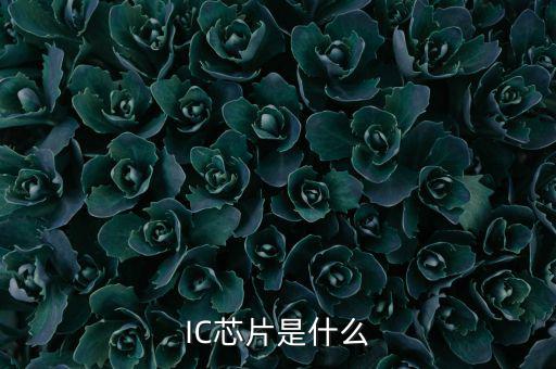 11961是什么ic,交通银行推出智能芯片借记卡