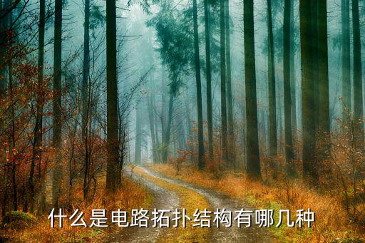 什么是电路拓扑结构有哪几种