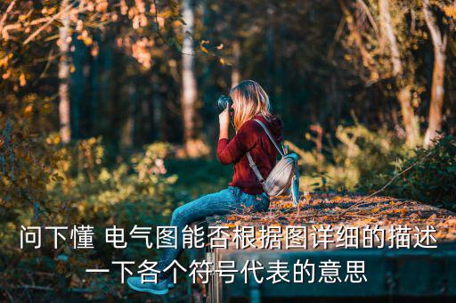 问下懂 电气图能否根据图详细的描述一下各个符号代表的意思