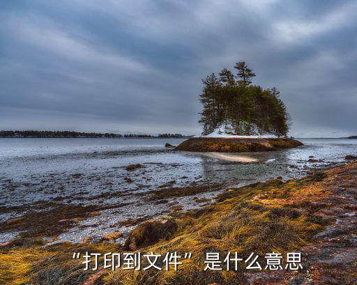 “打印到文件”是什么意思