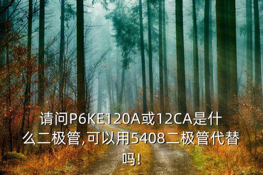 请问P6KE120A或12CA是什么二极管,可以用5408二极管代替吗!