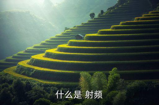什么是 射频