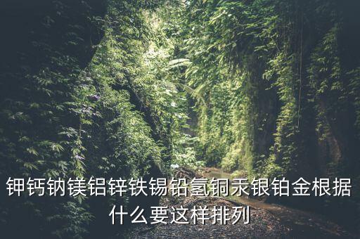 钾钙钠镁铝锌铁锡铅氢铜汞银铂金根据什么要这样排列