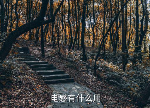 体积大的电感有什么用,电力系统有哪些重要性?
