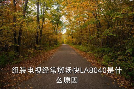 组装电视经常烧场快LA8040是什么原因