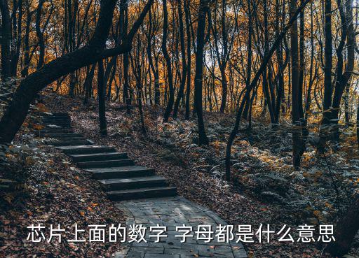  芯片上面的数字 字母都是什么意思