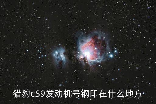 猎豹cS9发动机号钢印在什么地方