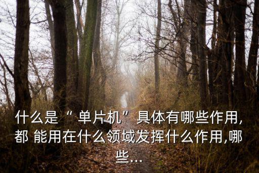 产品能用什么单片机,8款单片pc的功能介绍