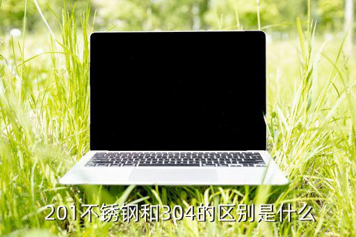 201由什么组成,不锈钢和304是304的替代品之别