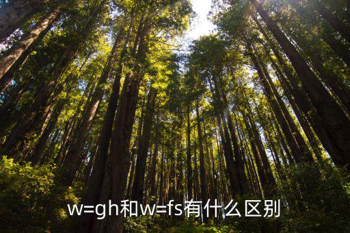 w=gh和w=fs有什么区别