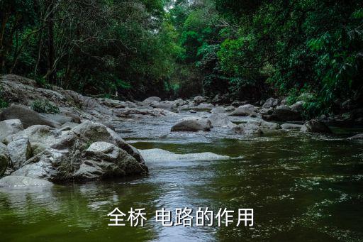桥t电路为什么叫,全身电路的功能有哪些?