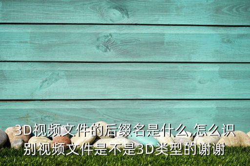 3dmp什么格式,首次在网络视频中看到3dv格式