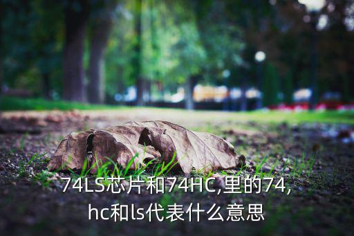 74hc541是什么,74ls244可达几十mw功耗和噪声