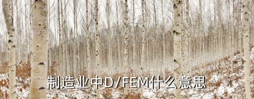 制造业中D/FEM什么意思