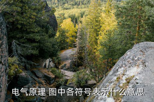  电气原理 图中各符号表示什么意思