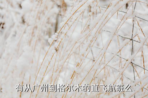 ca4306是什么机型,从广州到成都的航班有何不同?