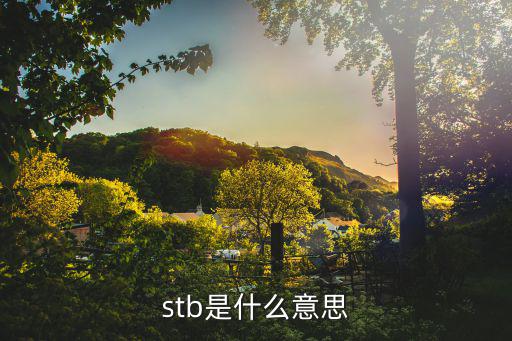 电路图的sTB是什么意思,电视机顶盒是什么?