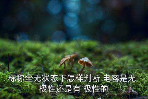 钽电容为什么有极性,电容用陶瓷片压制成型作为电容阳极