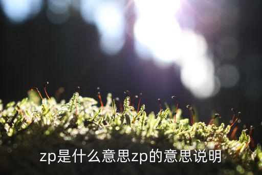 zp是什么意思zp的意思说明