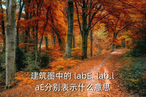 建筑图中的 labE. lab.laE分别表示什么意思
