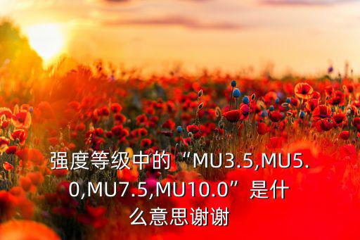 强度等级中的“MU3.5,MU5.0,MU7.5,MU10.0”是什么意思谢谢