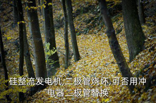 二级管s4坏了换什么用,二极管损坏怎么办?