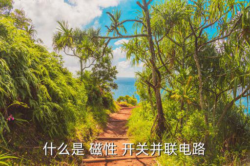 什么是 磁性 开关并联电路