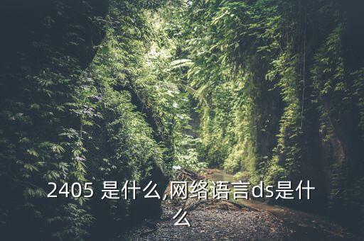 ds2405 是什么,网络语言ds是什么?