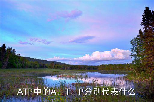 ATP中的A、T、P分别代表什么