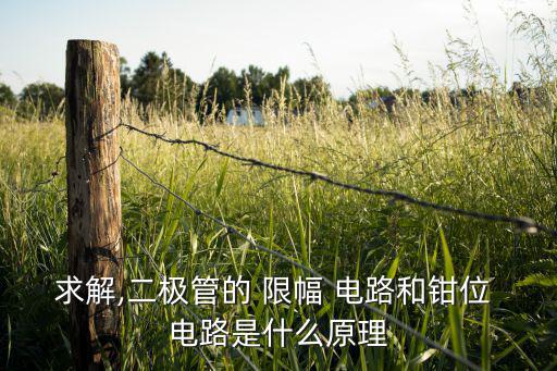求解,二极管的 限幅 电路和钳位 电路是什么原理