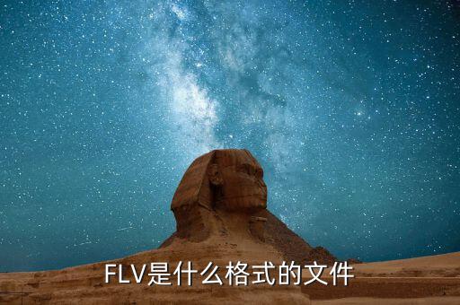 flva什么牌子,电脑上的其他媒体播放软件也可以打开