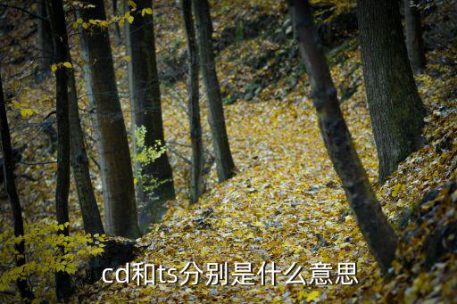  cd和ts分别是什么意思