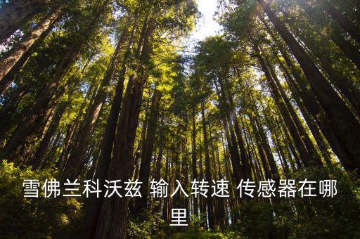 雪佛兰科沃兹 输入转速 传感器在哪里