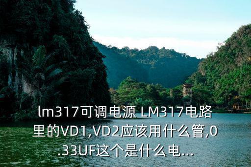 LM317?B是什么管,这五个器件的不稳定电压为3v