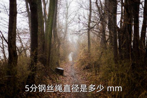 5分钢丝绳直径是多少 mm