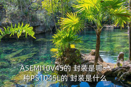 ASEMI10V45的 封装是哪一种PS1045L的 封装是什么