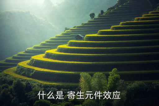 什么是寄生电感,寄生电容器和-1电感藏身高速电路中
