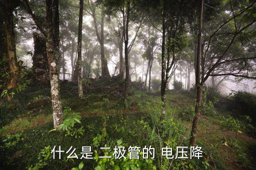 什么是 二极管的 电压降