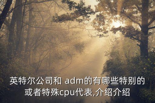 英特尔公司和 adm的有哪些特别的或者特殊cpu代表,介绍介绍