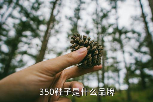  350鞋子是什么品牌