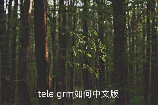 tele grm如何中文版