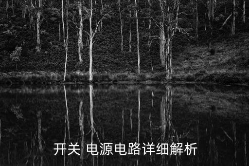  开关 电源电路详细解析