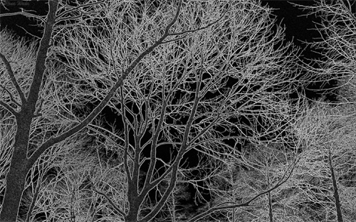 ic0001是什么意思,ic芯片英文缩写是集成电路意思